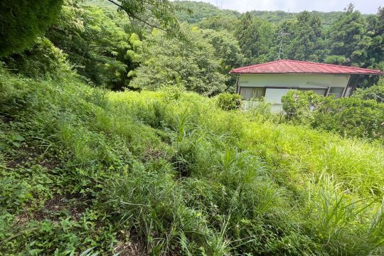 土地の様子