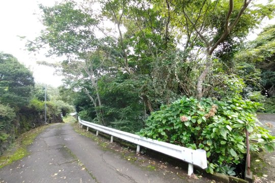 土地の様子