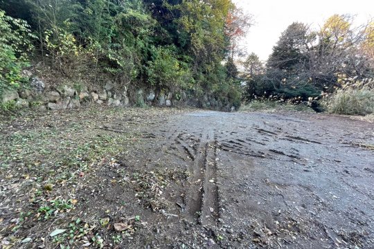 土地の様子