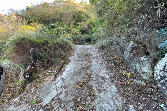 土地の様子