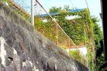 熱海市緑ガ丘町 緑多い山手の住宅地 約68坪の売り土地