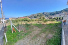 熱海市下多賀 135号線までアクセス良好 B区画